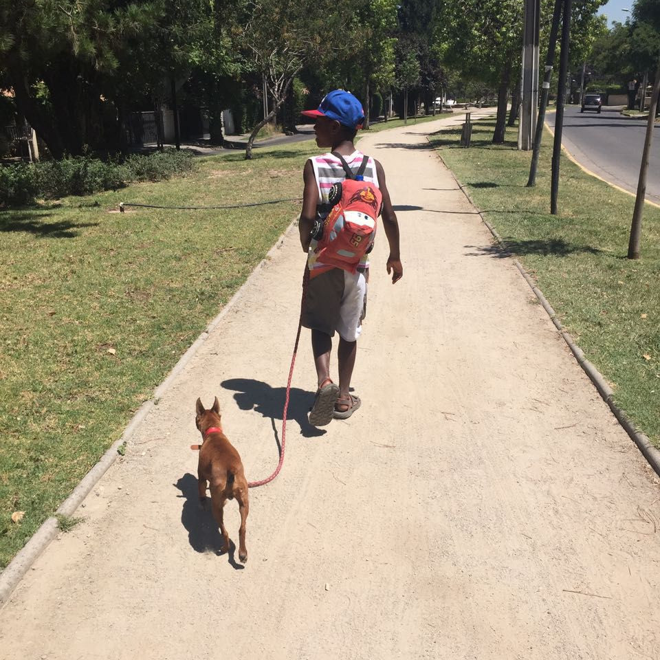 Spam with La compañera de paseo